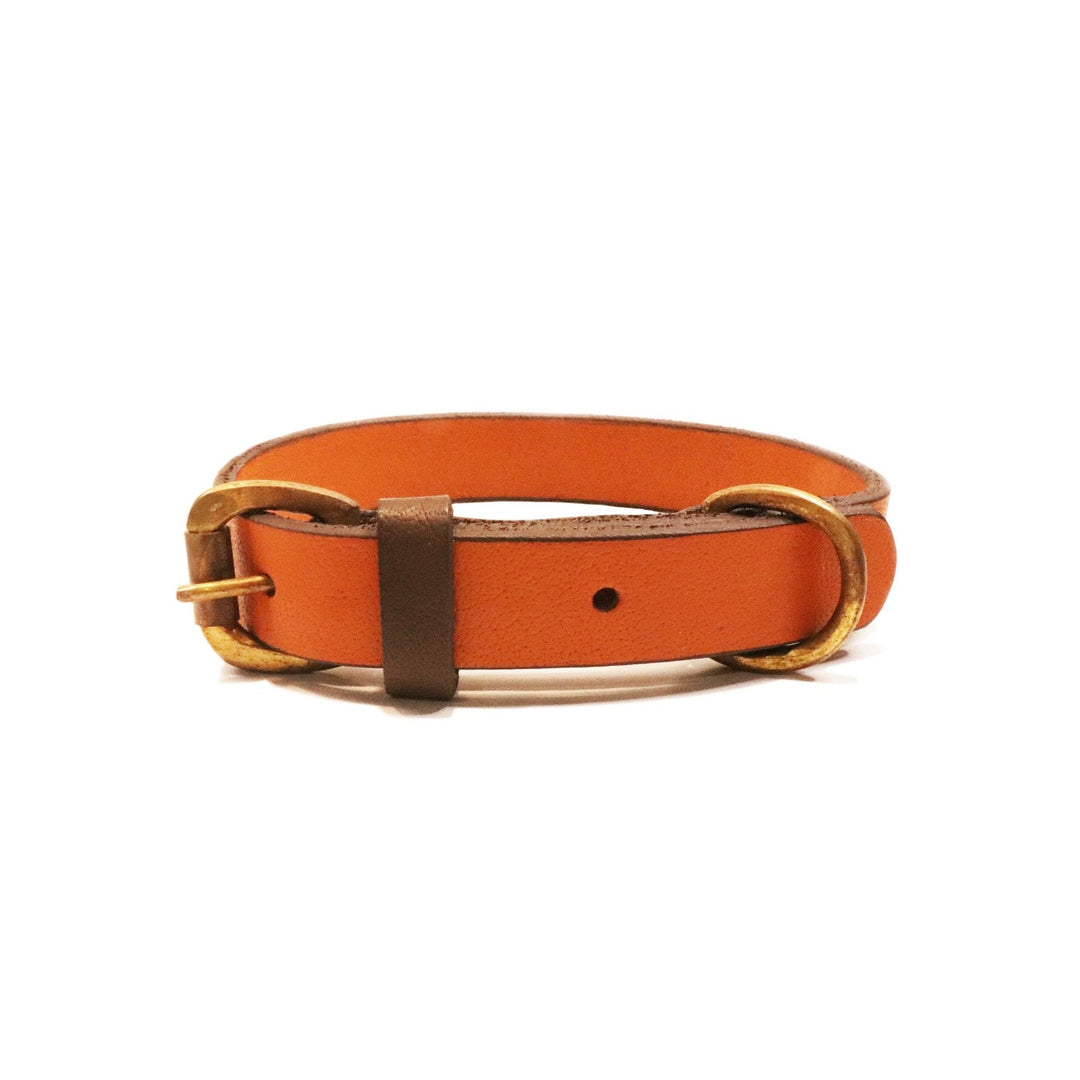 Cooper Collar - Ochre - Georgie PawsCooper Collar - OchreCollarGeorgie Paws