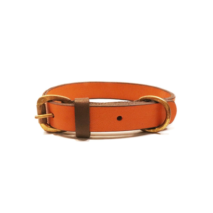 The Cooper Collar - Ochre by Georgie Paws is a handmade orange leather collar featuring a gold metal buckle and D-ring, displayed in a circular shape. Its interior side is tan, with one visible hole for size adjustment. This natural accessory is thoughtfully crafted without any plastic components.