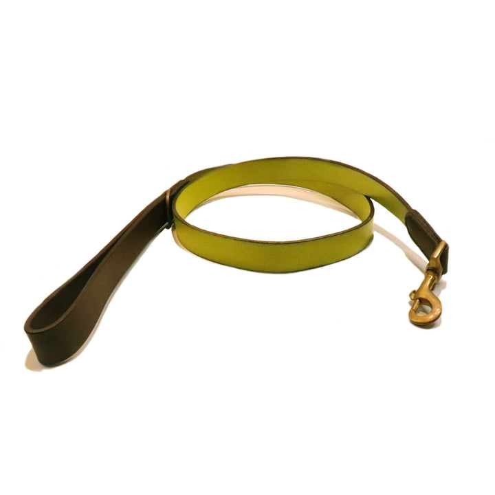 Cooper Lead - grass - Georgie PawsCooper Lead - grassLeadGeorgie Paws