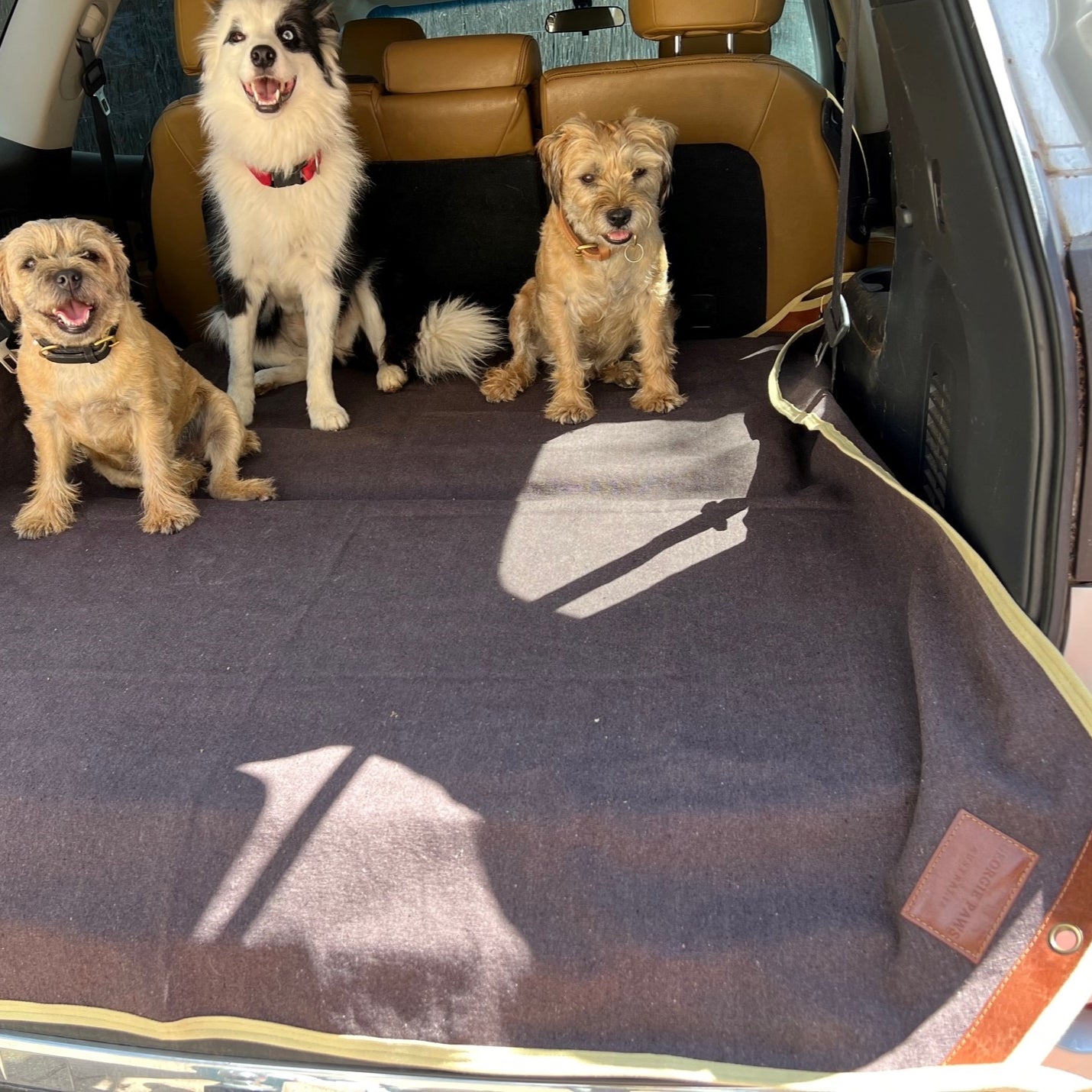 Dog Mat - Chicory - Georgie PawsDog Mat - ChicoryGiftGeorgie Paws