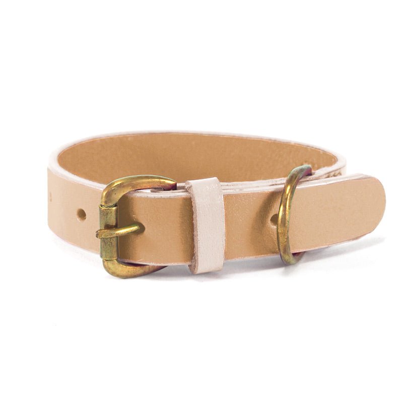 A cute leather dog collar by Georgie Paws in Vovo Pink.