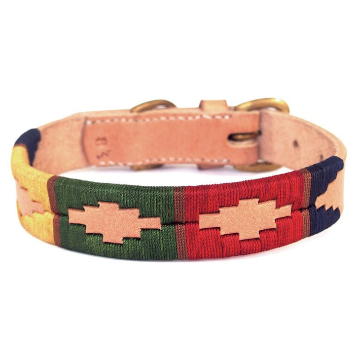 Polo Collar - Hector - Georgie PawsPolo Collar - HectorCollarGeorgie Paws