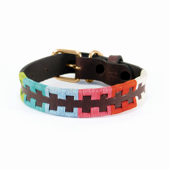 The Polo Collar - Reg by Georgie Paws is a natural dog collar made from vegetable tanned buffalo leather, featuring a brass buckle and adorned with woven red, blue, green, and white threads in geometric zigzag patterns along the strap. Shown unfastened against a white background.