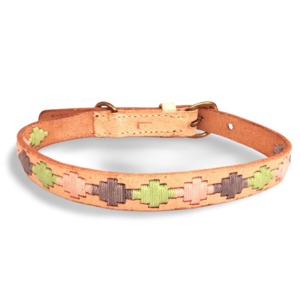 A cute dog collar with a colorful pattern, perfect for your furry friend.