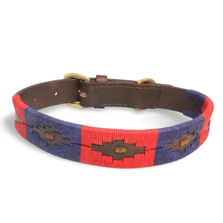 Polo Dog Collar in Boxer, a handmade buffalo leather dog collar with solid brass hardware by Georgie Paws