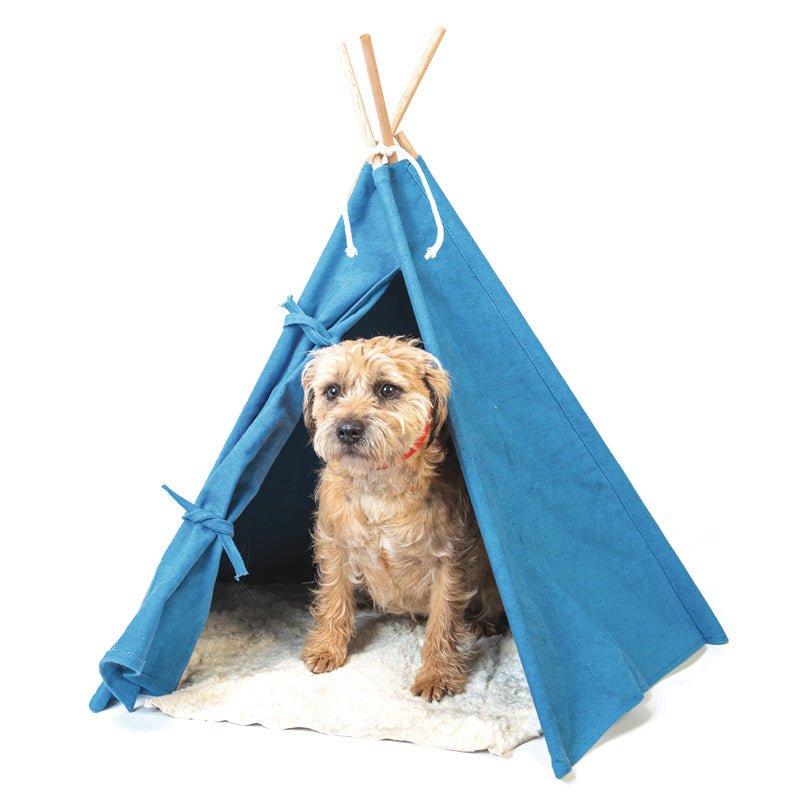 Tepee Tent - Georgie PawsTepee TentGiftGeorgie Paws
