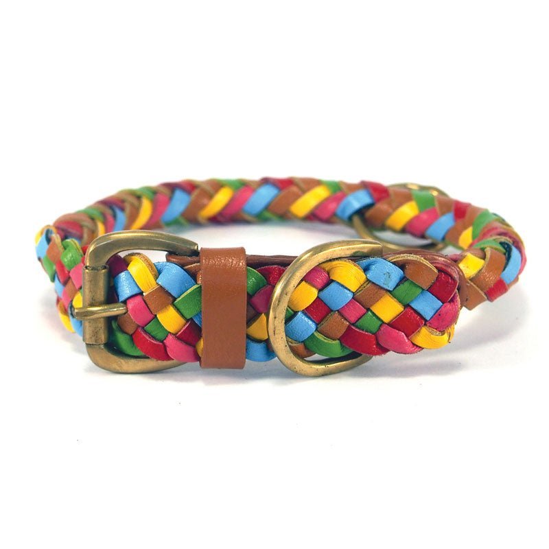 The Tonto Collar - Hand-braided Lollypop by Georgie Paws features colorful strands of red, yellow, blue, and green woven together, complemented by a brown vegetable tanned buffalo leather accent and finished with a brass buckle and loop, all displayed on a white background.