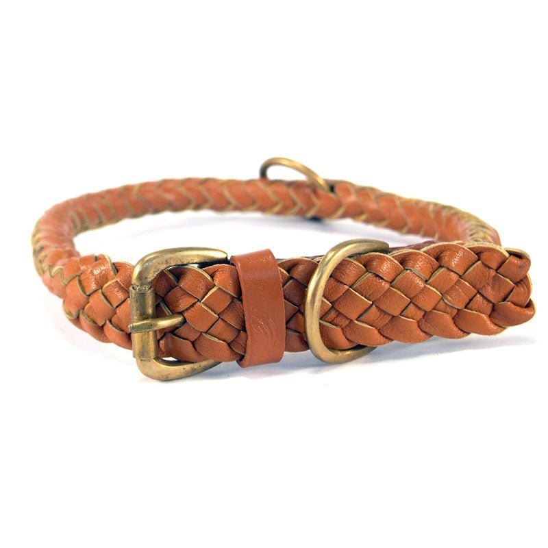 Tonto Dog Collar in Tan, a handmade buffalo leather dog collar with solid brass hardware by Georgie Paws