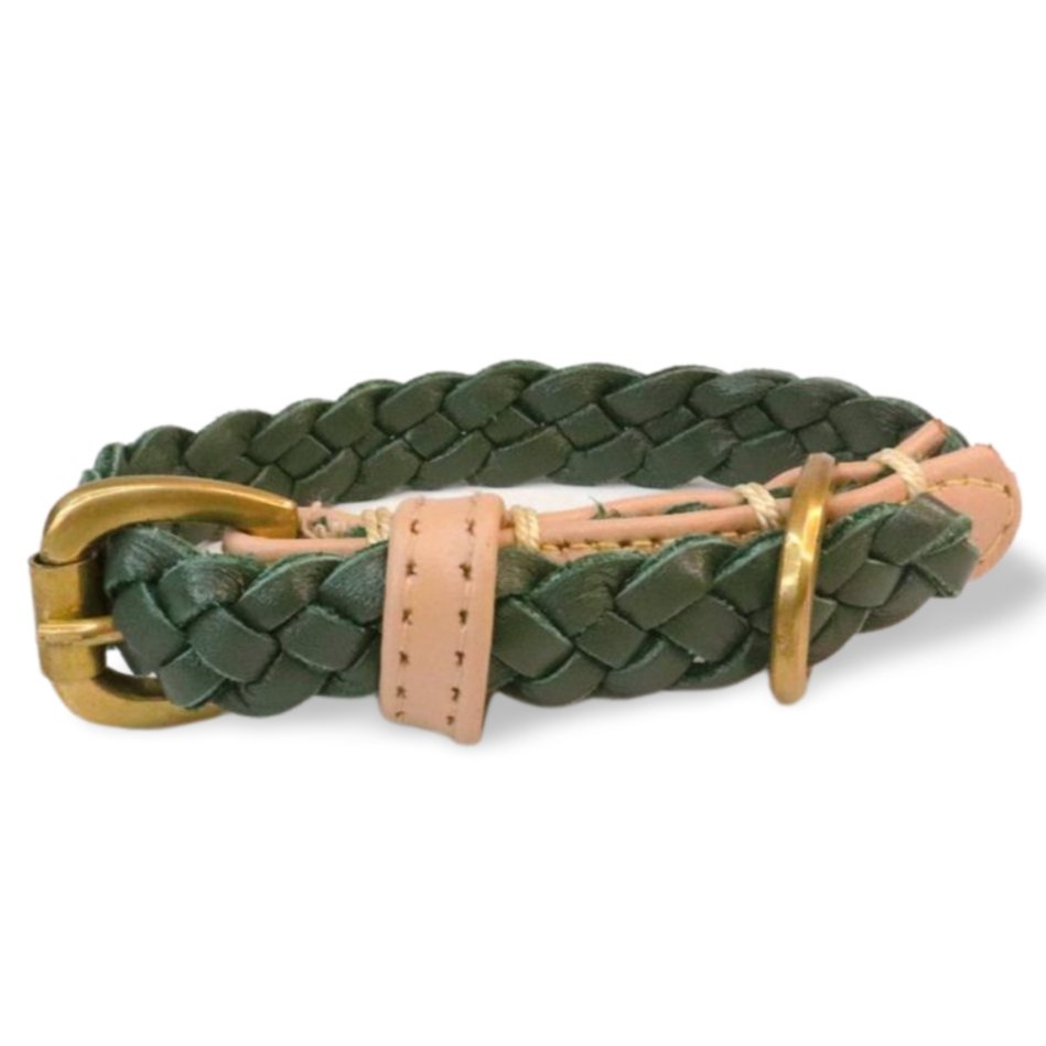 Windsor Collar - Chive - Georgie PawsWindsor Collar - ChiveCollarGeorgie Paws