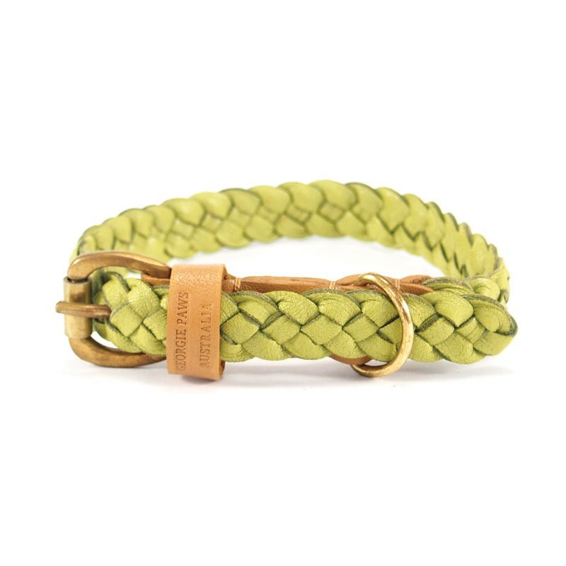 Introducing the Windsor Collar – Pear Green by Georgie Paws: a light green braided dog collar featuring a gold-tone buckle and ring, complemented by a tan vegetable-tanned buffalo leather tag embossed with "UPPER PAWS AUSTRALIA." Crafted from sustainable materials, the collar is neatly coiled on a white background.
