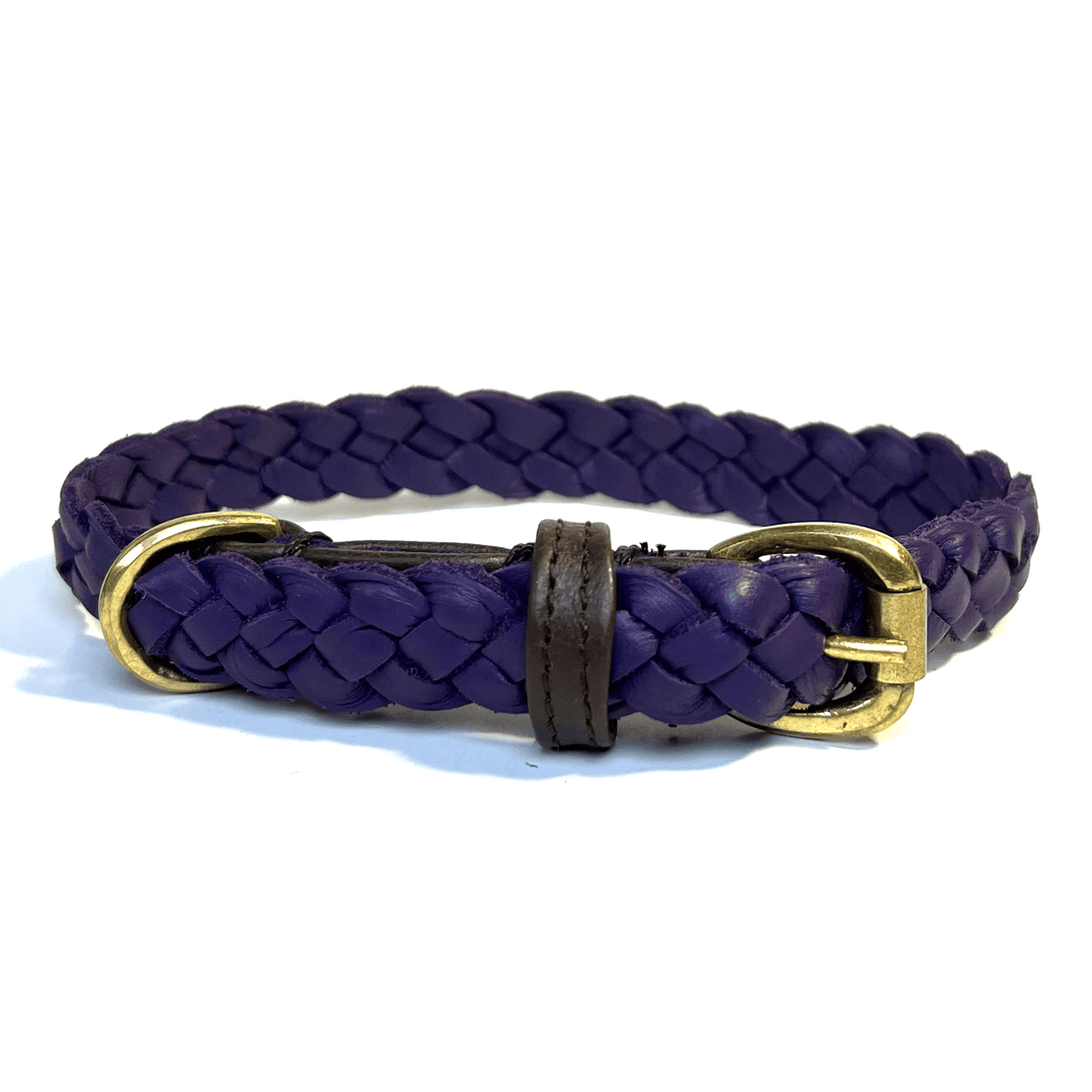 The Windsor Collar - Purple by Georgie Paws is crafted from sustainable vegetable tanned buffalo leather in a braided purple design. It features a gold-toned oval buckle and D-ring, with a dark brown leather loop near the buckle to secure the end. The collar is coiled in a circle and presented against a white background.